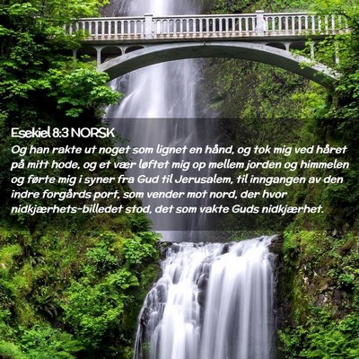 Picture 02 - Esekiel 8:3 NORSK - Og han rakte ut noget som lignet en hånd, og tok - Bible Verse Picture