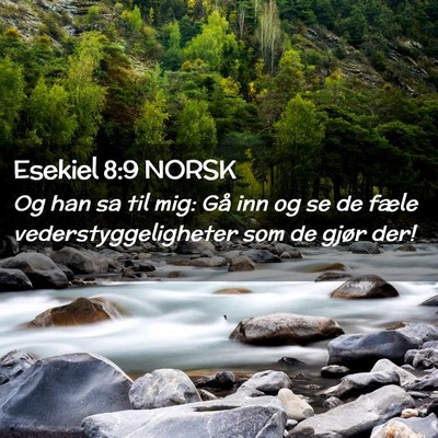 Picture 02 - Esekiel 8:9 NORSK - Og han sa til mig: Gå inn og se de fæle - Bible Verse Picture