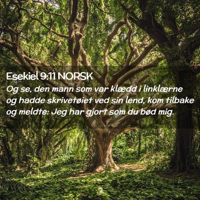 Picture 02 - Esekiel 9:11 NORSK - Og se, den mann som var klædd i linklærne og - Bible Verse Picture