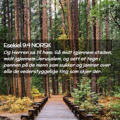 Picture 02 - Esekiel 9:4 NORSK - Og Herren sa til ham: Gå midt igjennem staden, - Bible Verse Picture