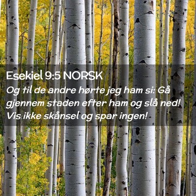 Picture 02 - Esekiel 9:5 NORSK - Og til de andre hørte jeg ham si: Gå gjennem - Bible Verse Picture