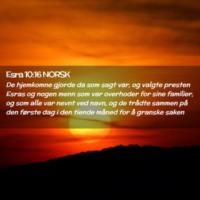 Picture 02 - Esra 10:16 NORSK - De hjemkomne gjorde da som sagt var, og valgte - Bible Verse Picture