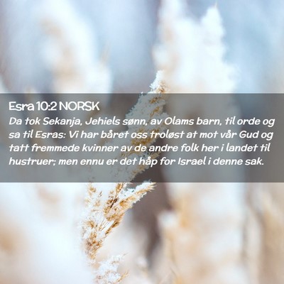 Picture 02 - Esra 10:2 NORSK - Da tok Sekanja, Jehiels sønn, av Olams barn, til - Bible Verse Picture