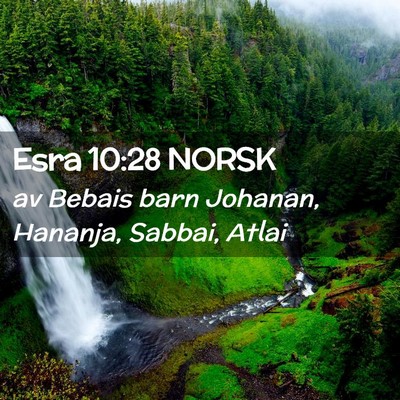 Picture 02 - Esra 10:28 NORSK - av Bebais barn Johanan, Hananja, Sabbai, - Bible Verse Picture