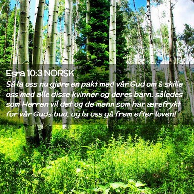 Picture 02 - Esra 10:3 NORSK - Så la oss nu gjøre en pakt med vår Gud om å - Bible Verse Picture