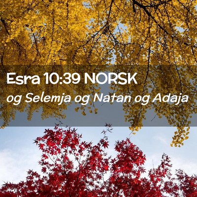Picture 02 - Esra 10:39 NORSK - og Selemja og Natan og - Bible Verse Picture