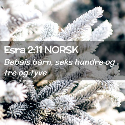 Picture 02 - Esra 2:11 NORSK - Bebais barn, seks hundre og tre og - Bible Verse Picture
