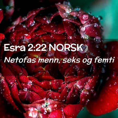 Picture 02 - Esra 2:22 NORSK - Netofas menn, seks og - Bible Verse Picture