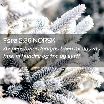 Picture 02 - Esra 2:36 NORSK - Av prestene: Jedajas barn av Josvas hus, ni - Bible Verse Picture