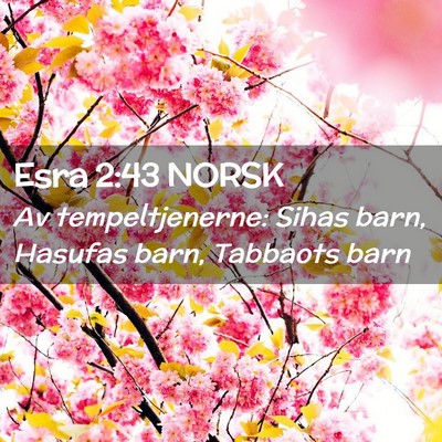 Picture 02 - Esra 2:43 NORSK - Av tempeltjenerne: Sihas barn, Hasufas barn, - Bible Verse Picture