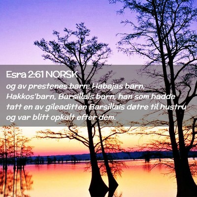 Picture 02 - Esra 2:61 NORSK - og av prestenes barn: Habajas barn, Hakkos'barn, - Bible Verse Picture