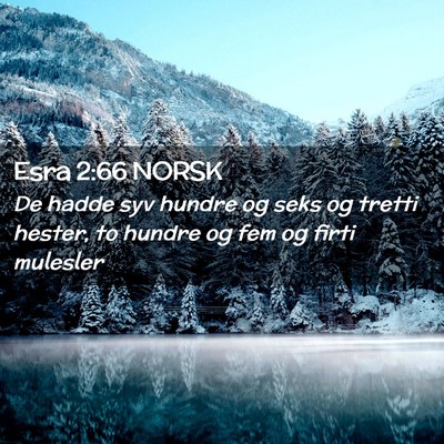 Picture 02 - Esra 2:66 NORSK - De hadde syv hundre og seks og tretti hester, to - Bible Verse Picture