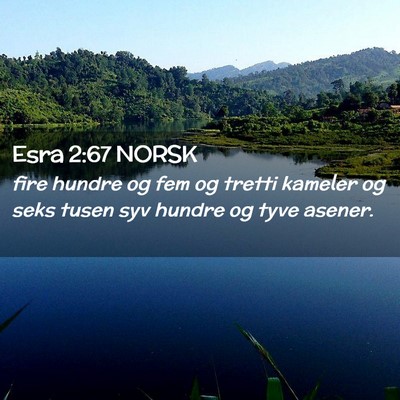 Picture 02 - Esra 2:67 NORSK - fire hundre og fem og tretti kameler og seks - Bible Verse Picture