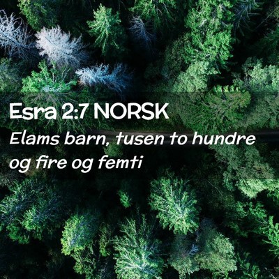 Picture 02 - Esra 2:7 NORSK - Elams barn, tusen to hundre og fire og - Bible Verse Picture
