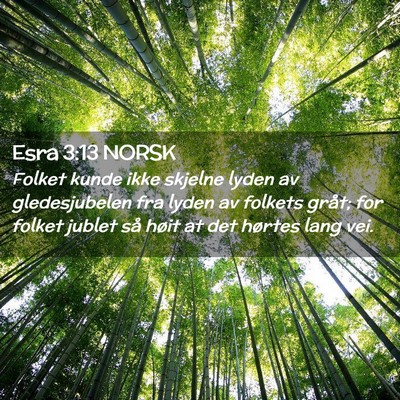 Picture 02 - Esra 3:13 NORSK - Folket kunde ikke skjelne lyden av gledesjubelen - Bible Verse Picture