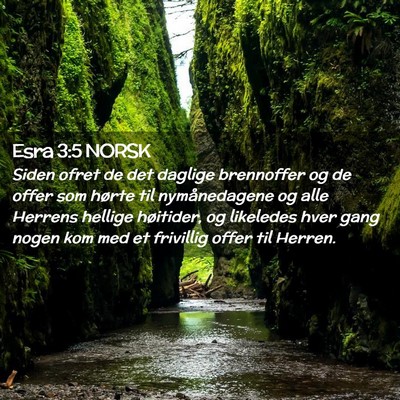 Picture 02 - Esra 3:5 NORSK - Siden ofret de det daglige brennoffer og de offer - Bible Verse Picture
