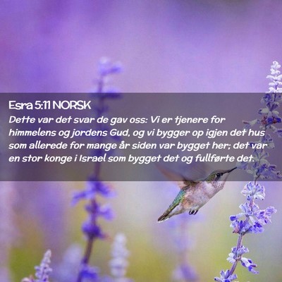 Picture 02 - Esra 5:11 NORSK - Dette var det svar de gav oss: Vi er tjenere for - Bible Verse Picture