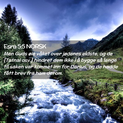 Picture 02 - Esra 5:5 NORSK - Men Guds øie våket over jødenes eldste, og de - Bible Verse Picture