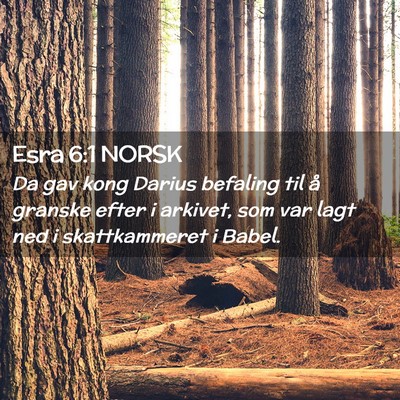 Picture 02 - Esra 6:1 NORSK - Da gav kong Darius befaling til å granske efter - Bible Verse Picture