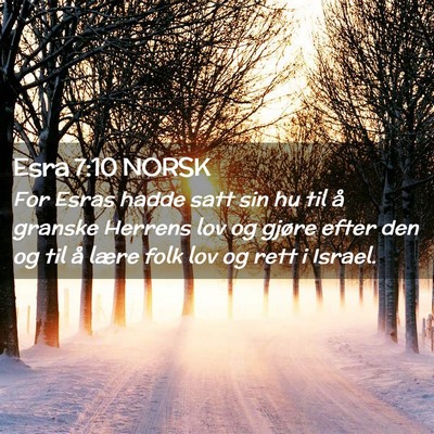 Picture 02 - Esra 7:10 NORSK - For Esras hadde satt sin hu til å granske - Bible Verse Picture