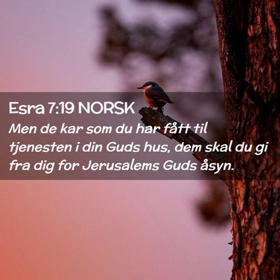 Picture 02 - Esra 7:19 NORSK - Men de kar som du har fått til tjenesten i din - Bible Verse Picture