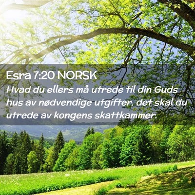 Picture 02 - Esra 7:20 NORSK - Hvad du ellers må utrede til din Guds hus av - Bible Verse Picture