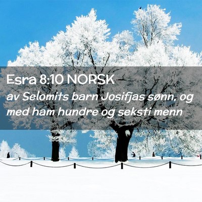 Picture 02 - Esra 8:10 NORSK - av Selomits barn Josifjas sønn, og med ham - Bible Verse Picture