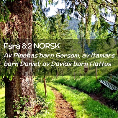 Picture 02 - Esra 8:2 NORSK - Av Pinehas'barn Gersom; av Itamars barn Daniel; - Bible Verse Picture