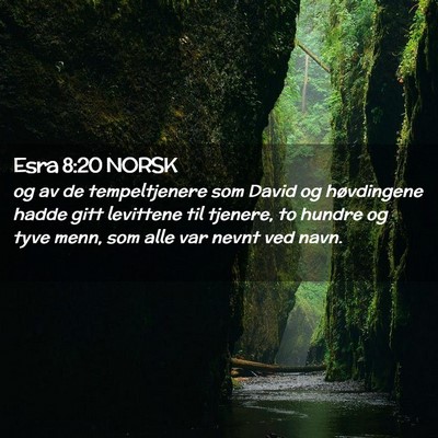 Picture 02 - Esra 8:20 NORSK - og av de tempeltjenere som David og høvdingene - Bible Verse Picture