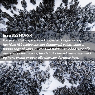 Picture 02 - Esra 8:22 NORSK - For jeg undså mig for å be kongen om krigsmakt - Bible Verse Picture