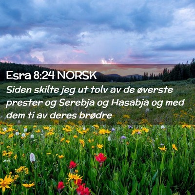 Picture 02 - Esra 8:24 NORSK - Siden skilte jeg ut tolv av de øverste prester - Bible Verse Picture