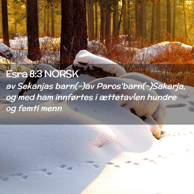 Picture 02 - Esra 8:3 NORSK - av Sekanjas barn(-)av Paros'barn(-)Sakarja, og - Bible Verse Picture