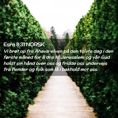 Picture 02 - Esra 8:31 NORSK - Vi brøt op fra Ahava-elven på den tolvte dag i - Bible Verse Picture