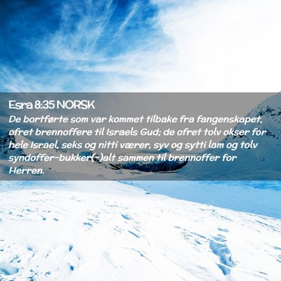 Picture 02 - Esra 8:35 NORSK - De bortførte som var kommet tilbake fra - Bible Verse Picture