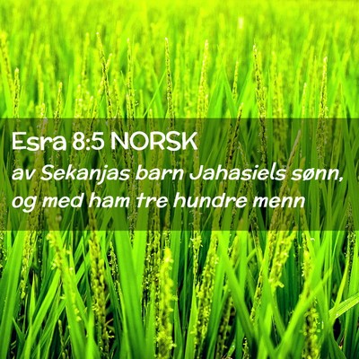 Picture 02 - Esra 8:5 NORSK - av Sekanjas barn Jahasiels sønn, og med ham tre - Bible Verse Picture