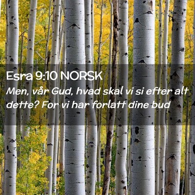 Picture 02 - Esra 9:10 NORSK - Men, vår Gud, hvad skal vi si efter alt dette? - Bible Verse Picture