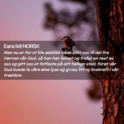 Picture 02 - Esra 9:8 NORSK - Men nu er for et lite øieblikk nåde blitt oss - Bible Verse Picture