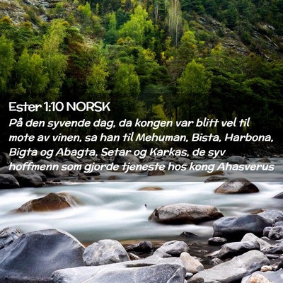 Picture 02 - Ester 1:10 NORSK - På den syvende dag, da kongen var blitt vel til - Bible Verse Picture