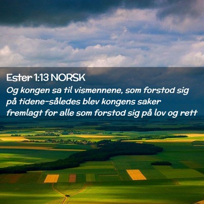 Picture 02 - Ester 1:13 NORSK - Og kongen sa til vismennene, som forstod sig på - Bible Verse Picture