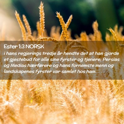 Picture 02 - Ester 1:3 NORSK - i hans regjerings tredje år hendte det at han - Bible Verse Picture