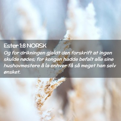 Picture 02 - Ester 1:8 NORSK - Og for drikningen gjaldt den forskrift at ingen - Bible Verse Picture