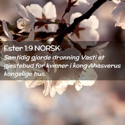 Picture 02 - Ester 1:9 NORSK - Samtidig gjorde dronning Vasti et gjestebud for - Bible Verse Picture