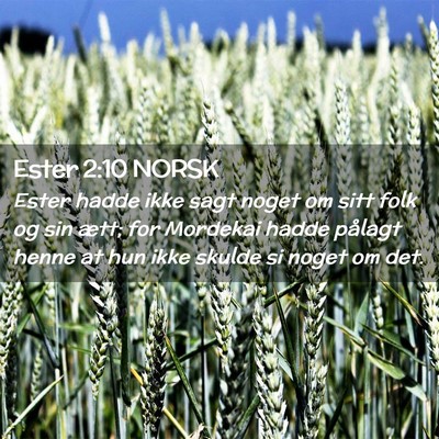 Picture 02 - Ester 2:10 NORSK - Ester hadde ikke sagt noget om sitt folk og sin - Bible Verse Picture