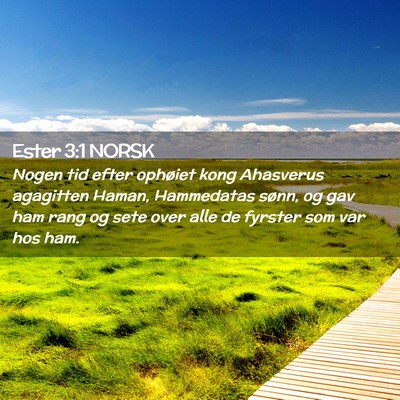 Picture 02 - Ester 3:1 NORSK - Nogen tid efter ophøiet kong Ahasverus agagitten - Bible Verse Picture