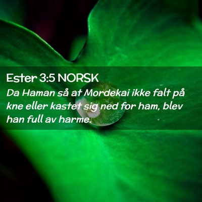 Picture 02 - Ester 3:5 NORSK - Da Haman så at Mordekai ikke falt på kne eller - Bible Verse Picture