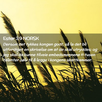 Picture 02 - Ester 3:9 NORSK - Dersom det tykkes kongen godt, så la det bli - Bible Verse Picture