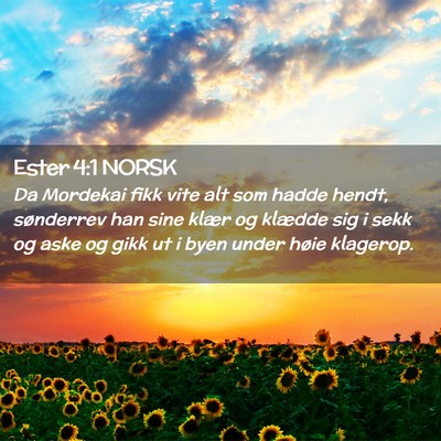Picture 02 - Ester 4:1 NORSK - Da Mordekai fikk vite alt som hadde hendt, - Bible Verse Picture