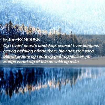 Picture 02 - Ester 4:3 NORSK - Og i hvert eneste landskap, overalt hvor kongens - Bible Verse Picture