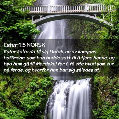 Picture 02 - Ester 4:5 NORSK - Ester kalte da til sig Hatak, en av kongens - Bible Verse Picture