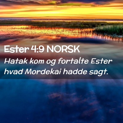 Picture 02 - Ester 4:9 NORSK - Hatak kom og fortalte Ester hvad Mordekai hadde - Bible Verse Picture